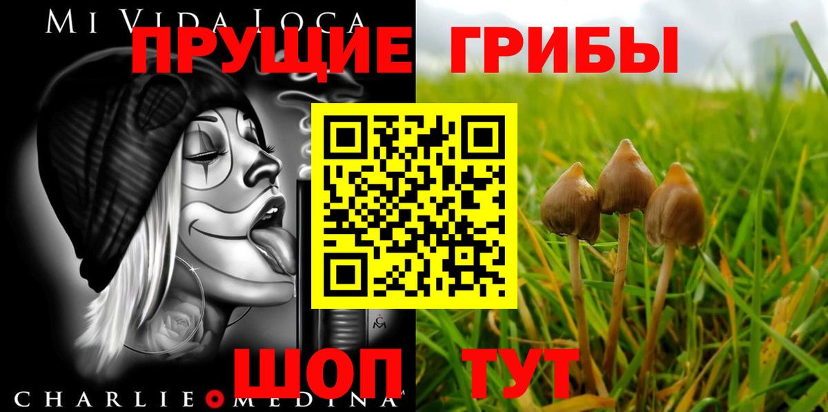 Псилоцибиновые грибы Psilocybine cubensis  Вход с VPN  Каменск-Уральский  Псилоцибиновые грибы Psilocybine cubensis 