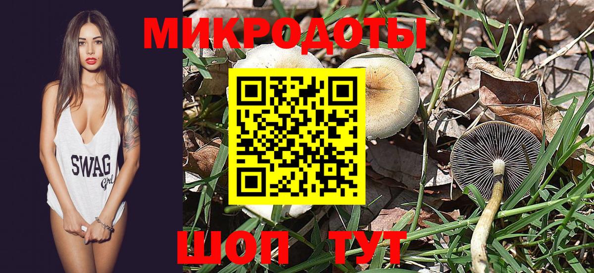 Галлюциногенные грибы GOLDEN TEACHER Каменск-Уральский